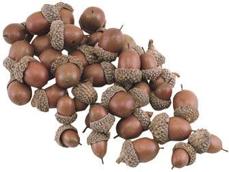 Acorns 40 Pkg - The Fox Decor